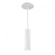 WAC US PD-W36610-WT - CALIBER Outdoor Pendant Light