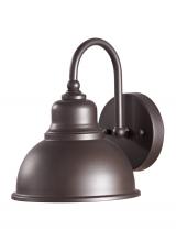 Generation Lighting OL8701ORB - Lantern