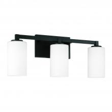 Capital 119831BI-545 - 3-Light Vanity