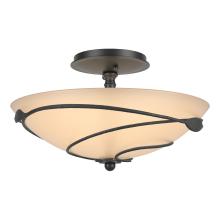 Hubbardton Forge 126712-SKT-10-SS0048 - Forged Leaves Semi-Flush