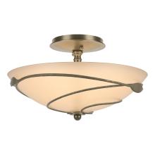 Hubbardton Forge 126712-SKT-84-SS0048 - Forged Leaves Semi-Flush