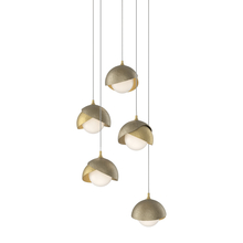 Hubbardton Forge 131125-SKT-LONG-86-84-GG0711 - Brooklyn 5-Light Double Shade Pendant