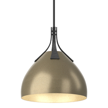 Hubbardton Forge 134502-SKT-MULT-10-84 - Summit Pendant