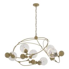 Hubbardton Forge 136421-SKT-86-LL0639 - Sprig Circular Pendant