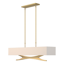 Hubbardton Forge 137655-SKT-STND-86-SE4298 - Moreau Pendant