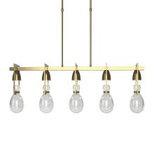 Hubbardton Forge 137810-SKT-LONG-86-ZM0572 - Apothecary Pendant