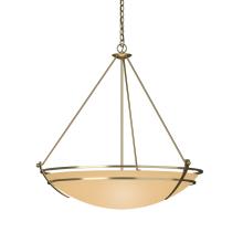 Hubbardton Forge 194431-SKT-86-SS0170 - Presidio Tryne Large Scale Pendant