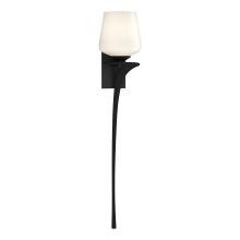 Hubbardton Forge 204710-SKT-RGT-10-GG0236 - Antasia Single Glass 1 Light Sconce