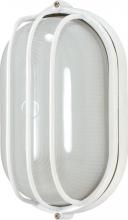 Nuvo 60/524 - 1 Light - 10" Oval Cage Bulkhead - Semi Gloss White Finish